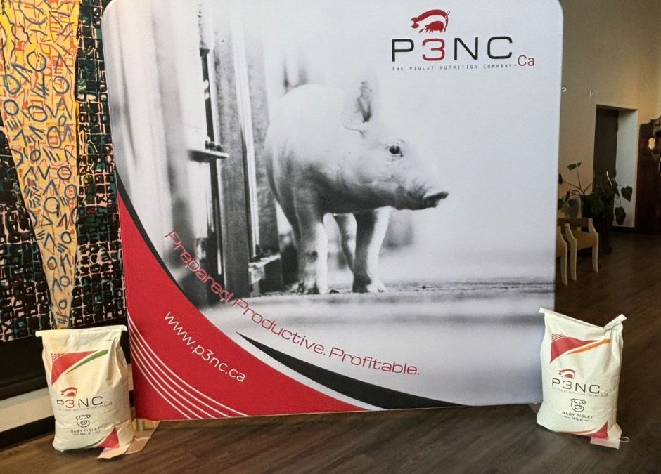 Redefining Piglet Nutrition: P3NC Expands into Canada